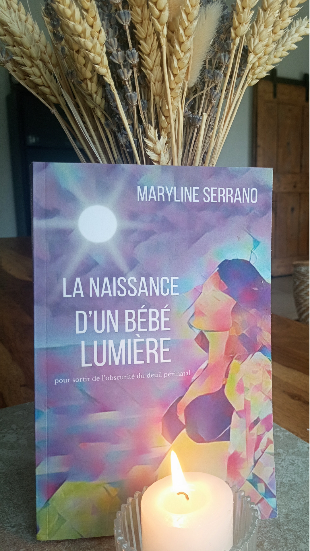 Couverture du livre Naissance d'un bébé lumière dans l'obscurité, de Maryline Serrano